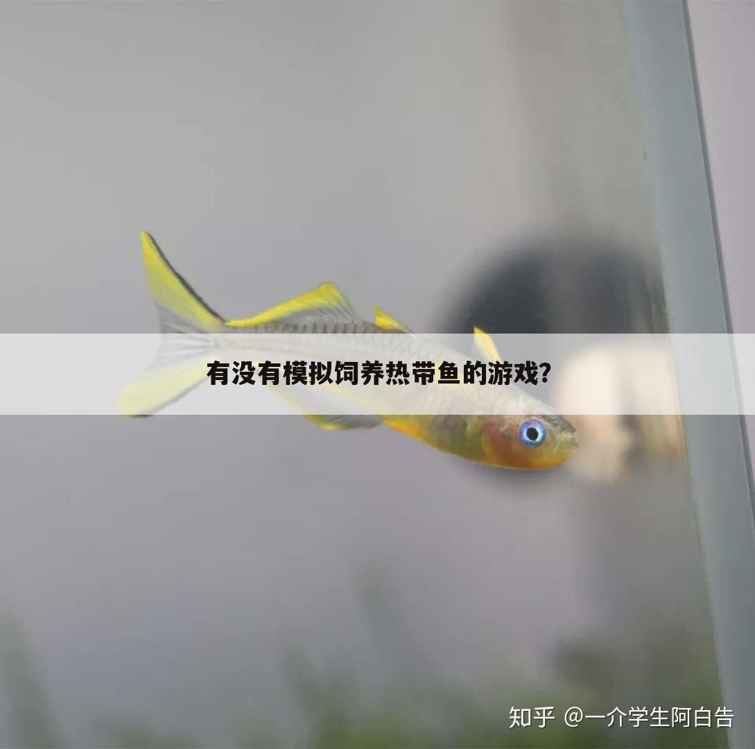 有没有模拟饲养热带鱼的游戏?