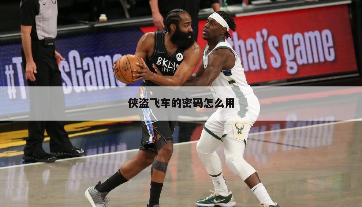 侠盗飞车的密码怎么用
