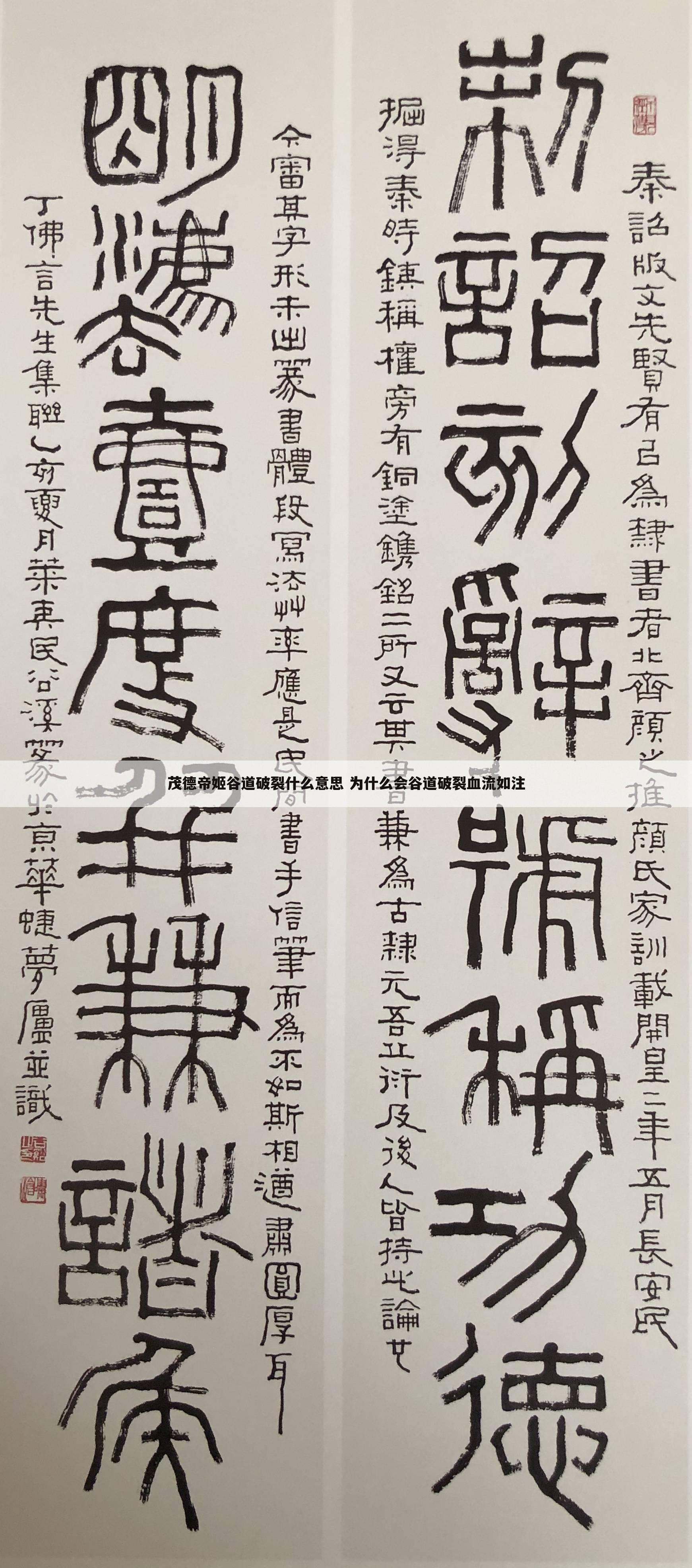 茂德帝姬谷道破裂什么意思 为什么会谷道破裂血流如注