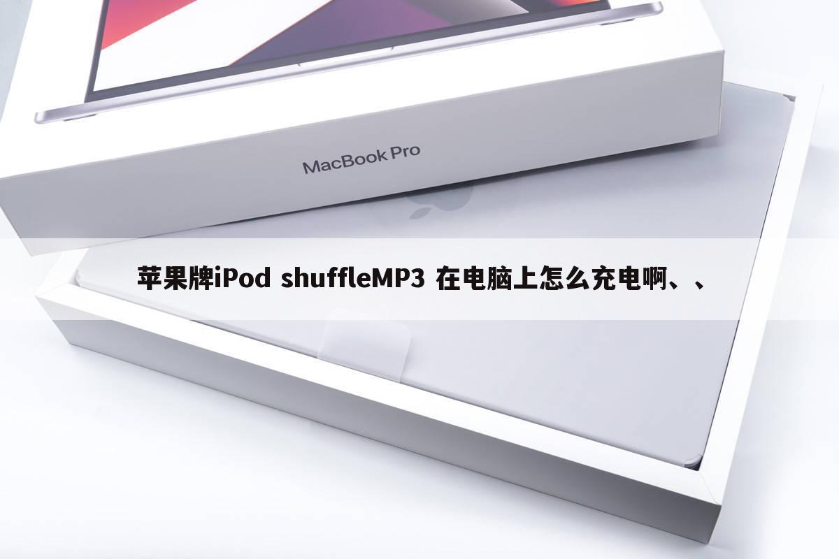 苹果牌iPod shuffleMP3 在电脑上怎么充电啊、、