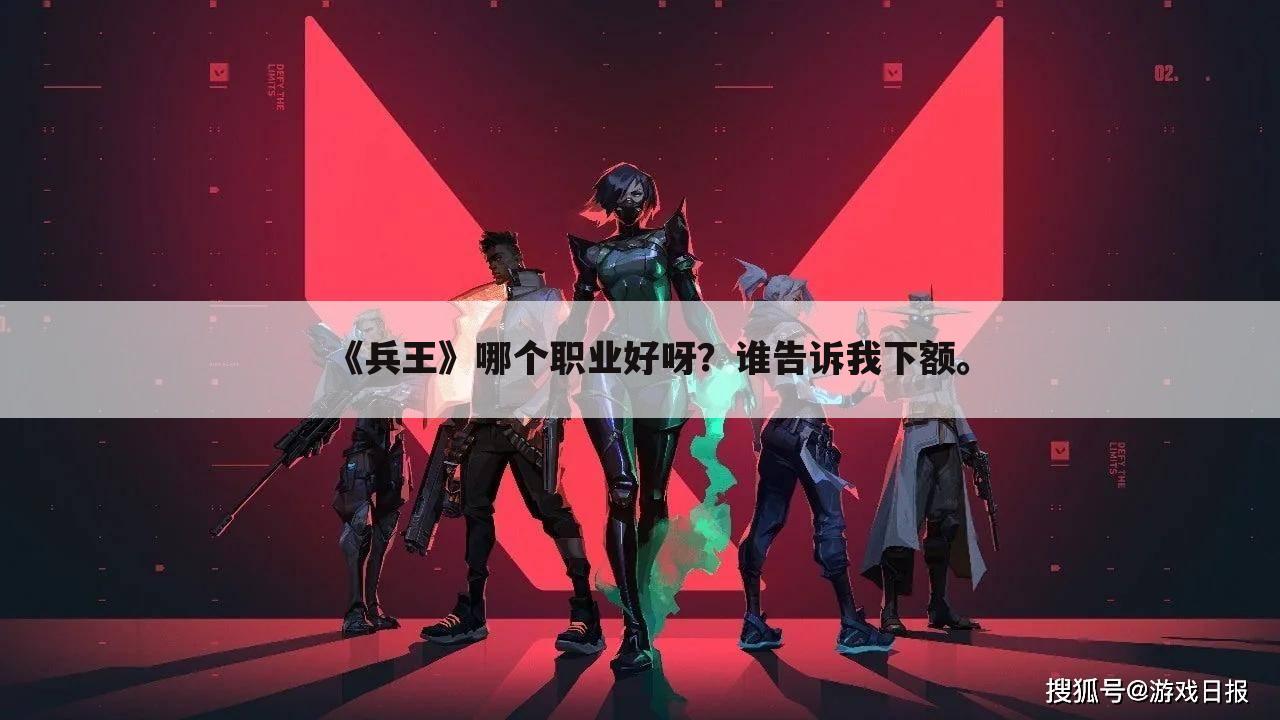 《兵王》哪个职业好呀?谁告诉我下额。