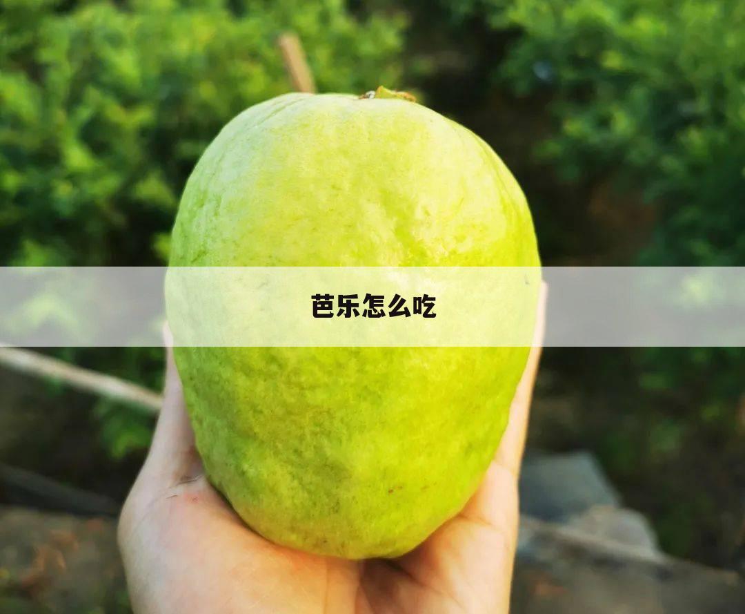 芭乐怎么吃