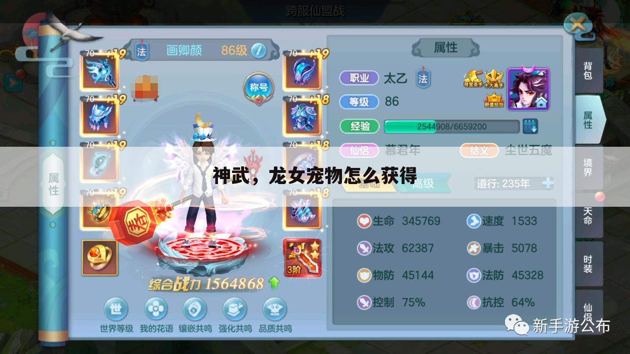 神武，龙女宠物怎么获得