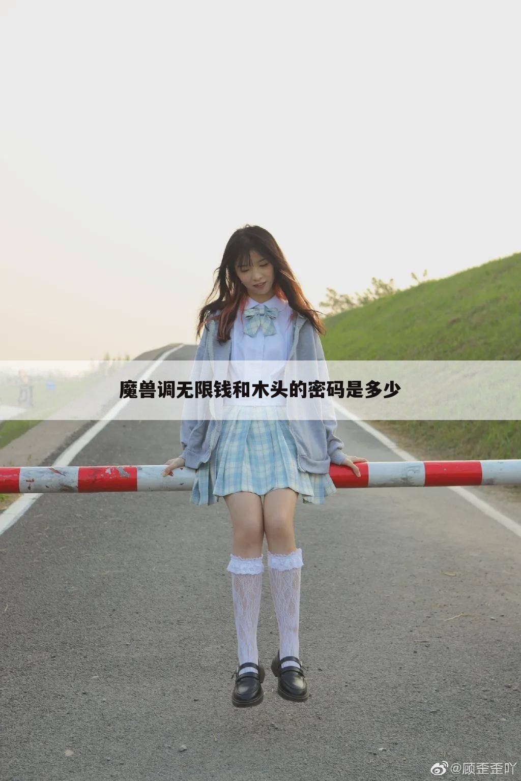 魔兽调无限钱和木头的密码是多少