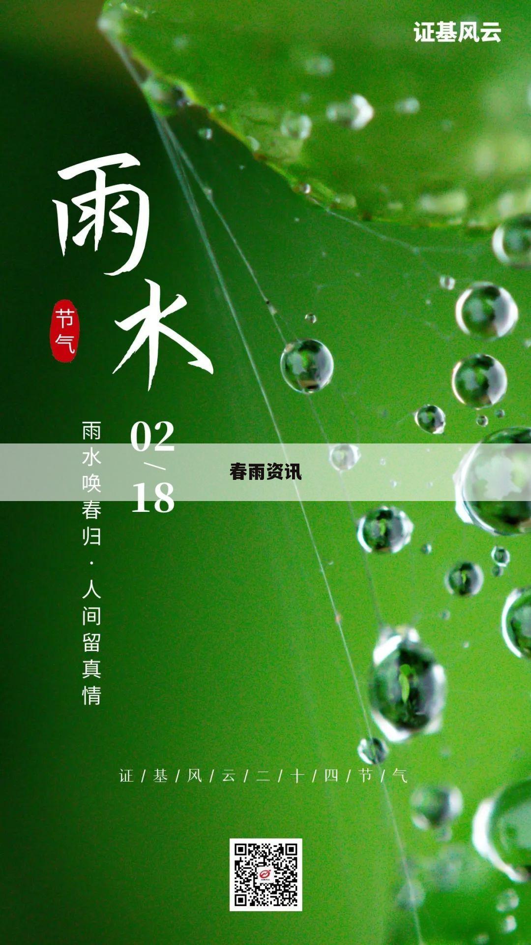 春雨资讯