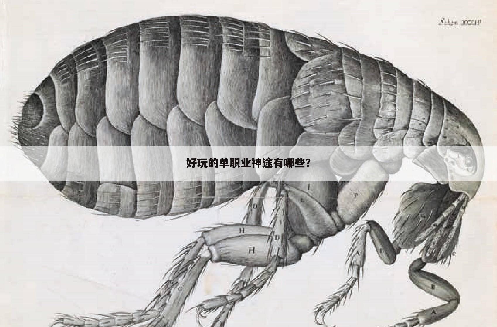 好玩的单职业神途有哪些?