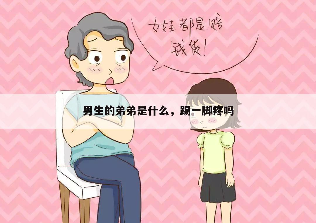 男生的弟弟是什么,踢一脚疼吗