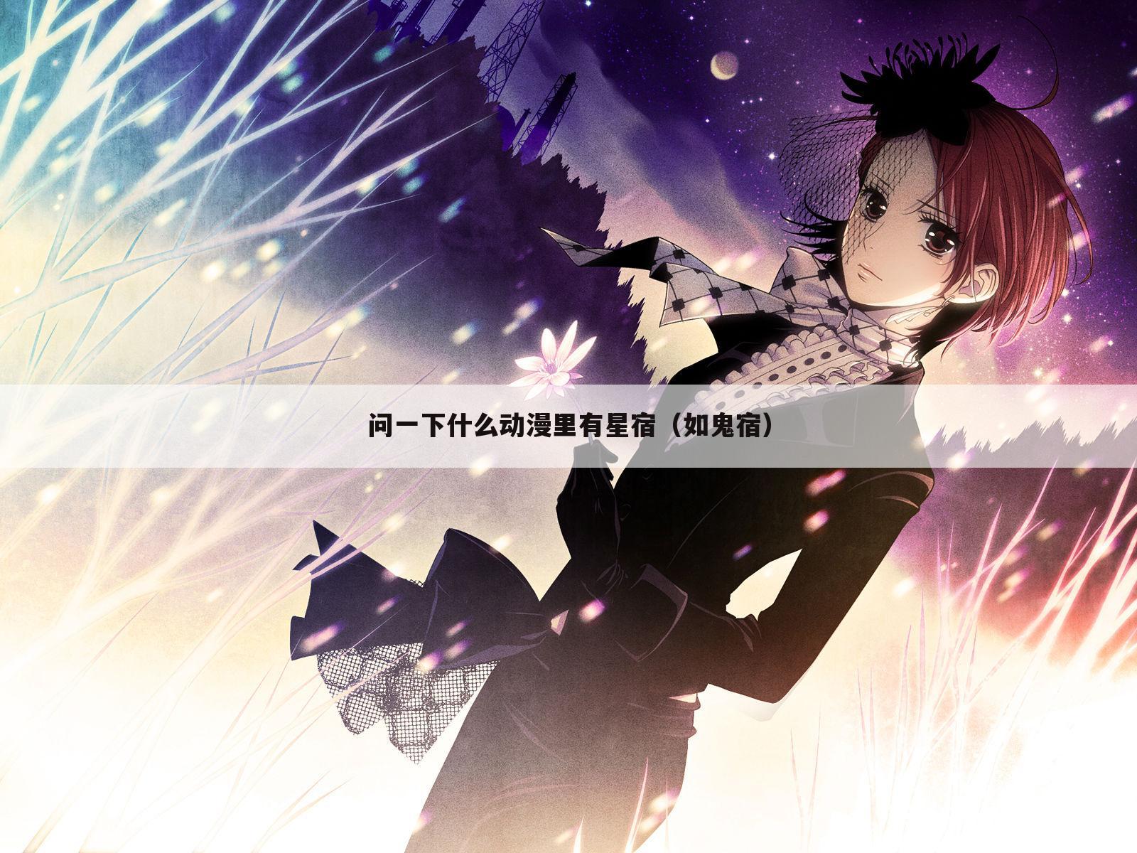 问一下什么动漫里有星宿(如鬼宿)
