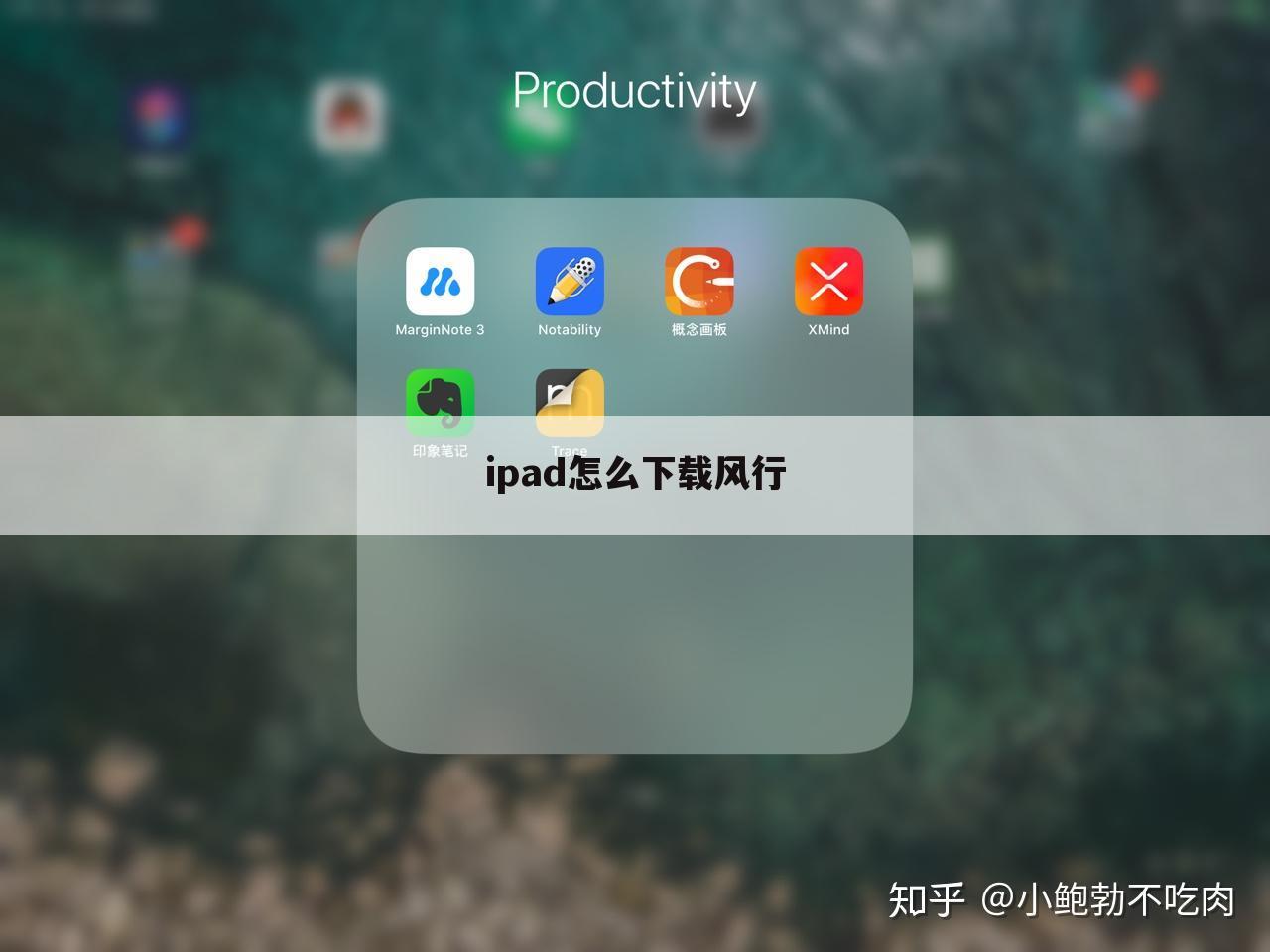 ipad怎么下载风行