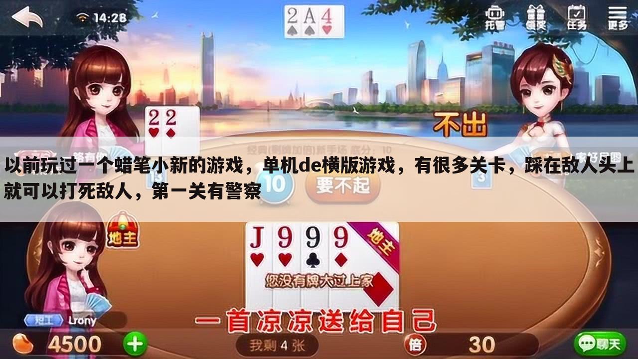 以前玩过一个蜡笔小新的游戏，单机de横版游戏，有很多关卡，踩在敌人头上就可以打死敌人，第一关有警察