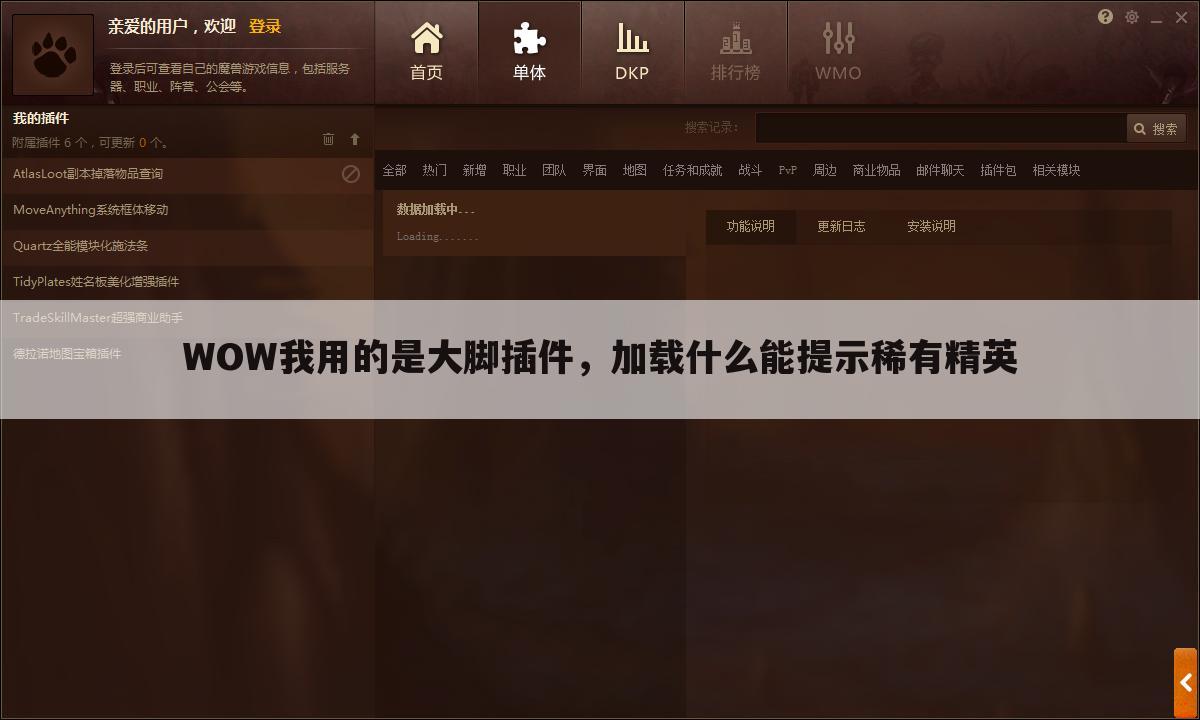 WOW我用的是大脚插件,加载什么能提示稀有精英
