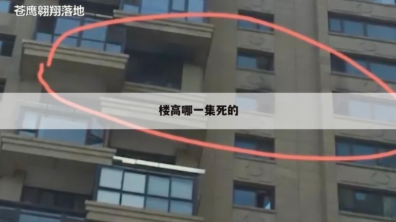 楼高哪一集死的