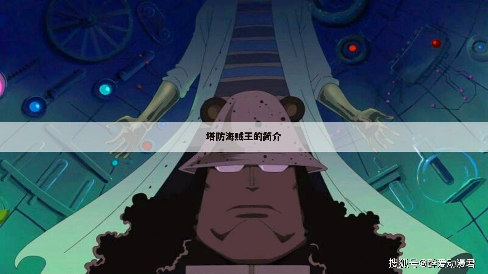 塔防海贼王的简介