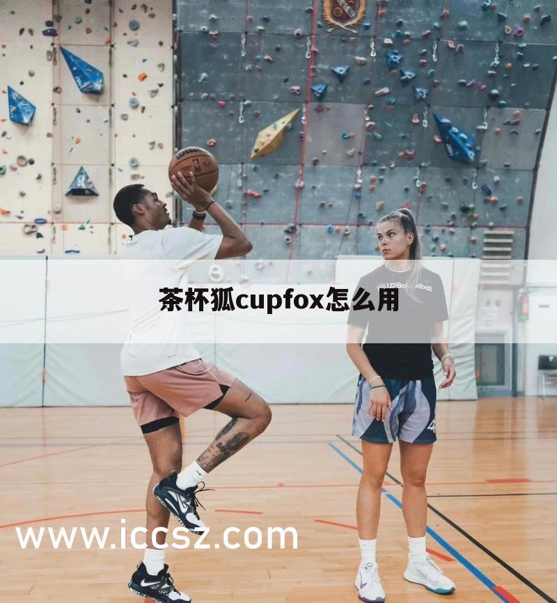 茶杯狐cupfox怎么用