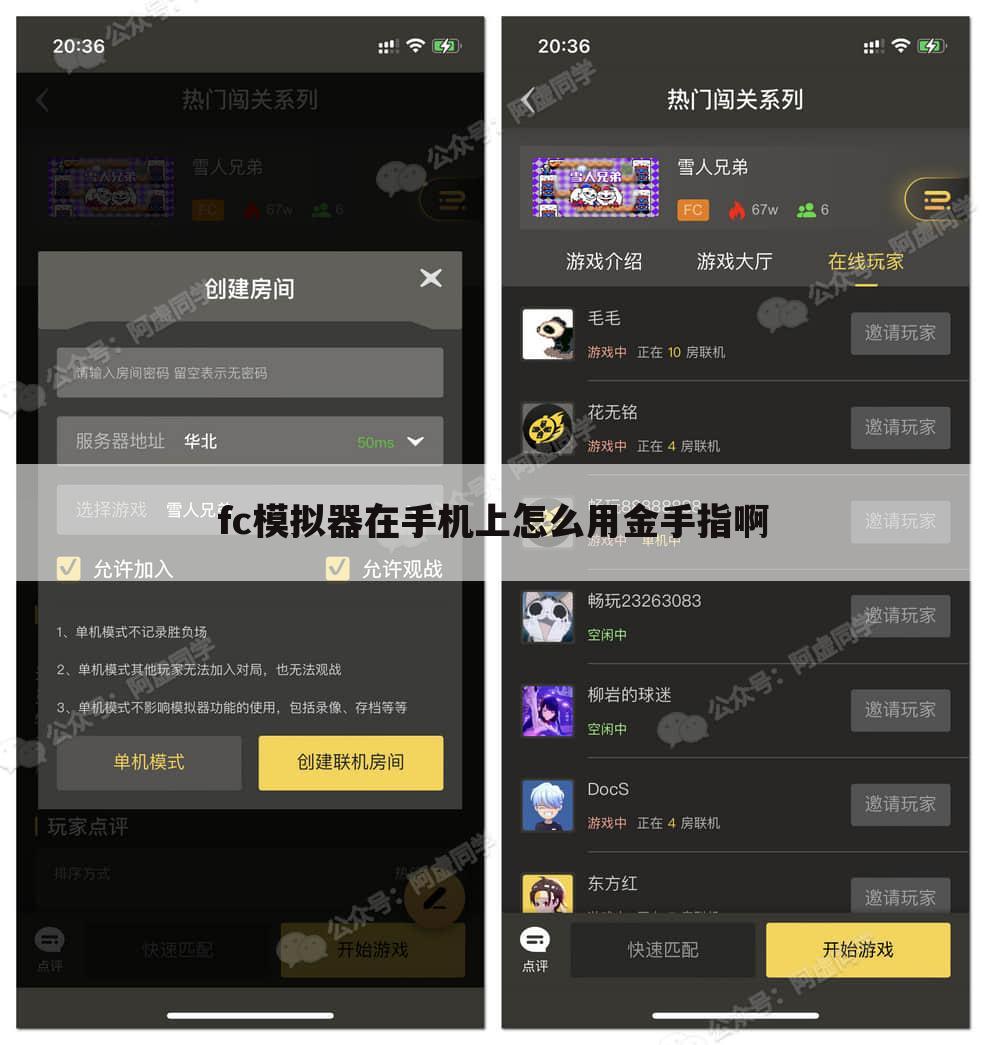 fc模拟器在手机上怎么用金手指啊