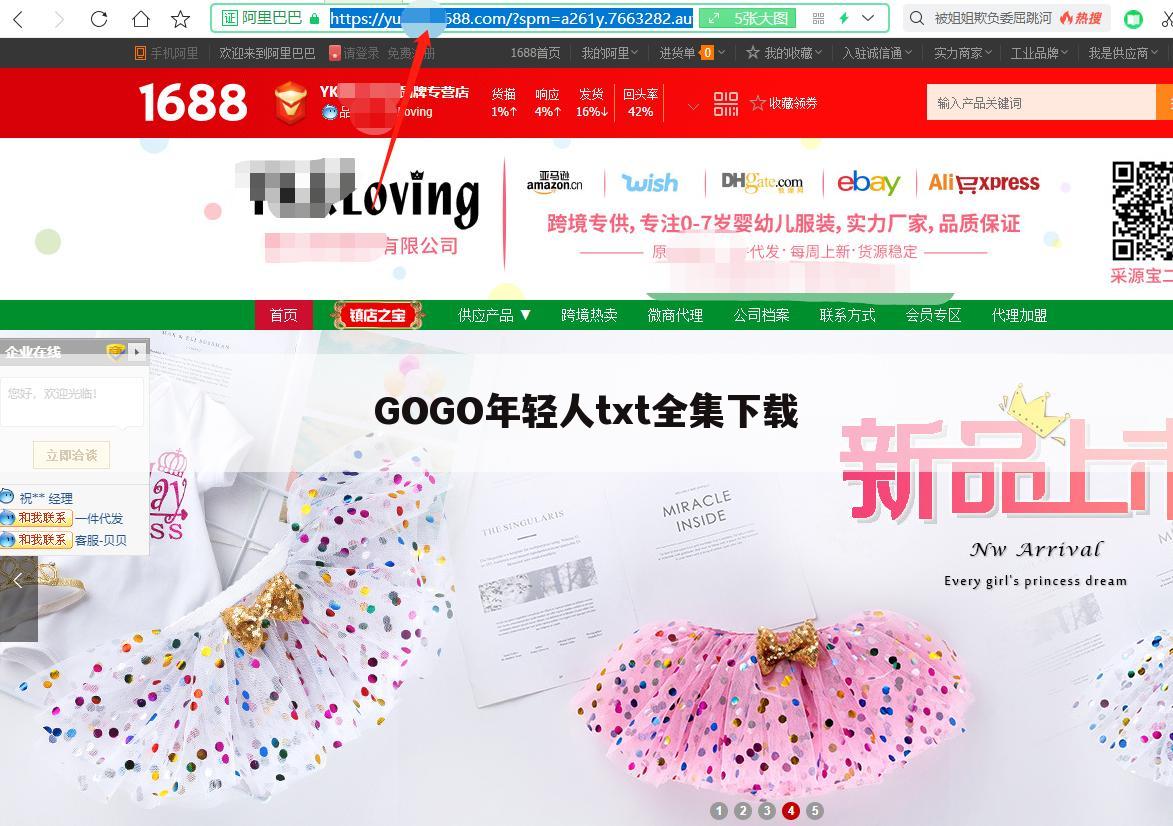 GOGO年轻人txt全集下载