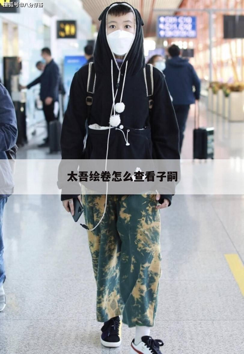 太吾绘卷怎么查看子嗣