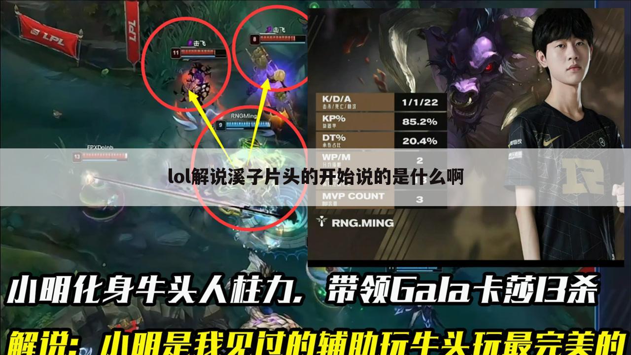 lol解说溪子片头的开始说的是什么啊