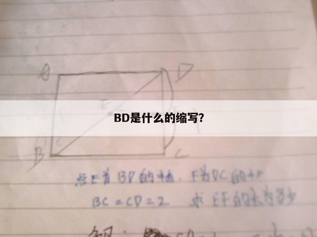 BD是什么的缩写?