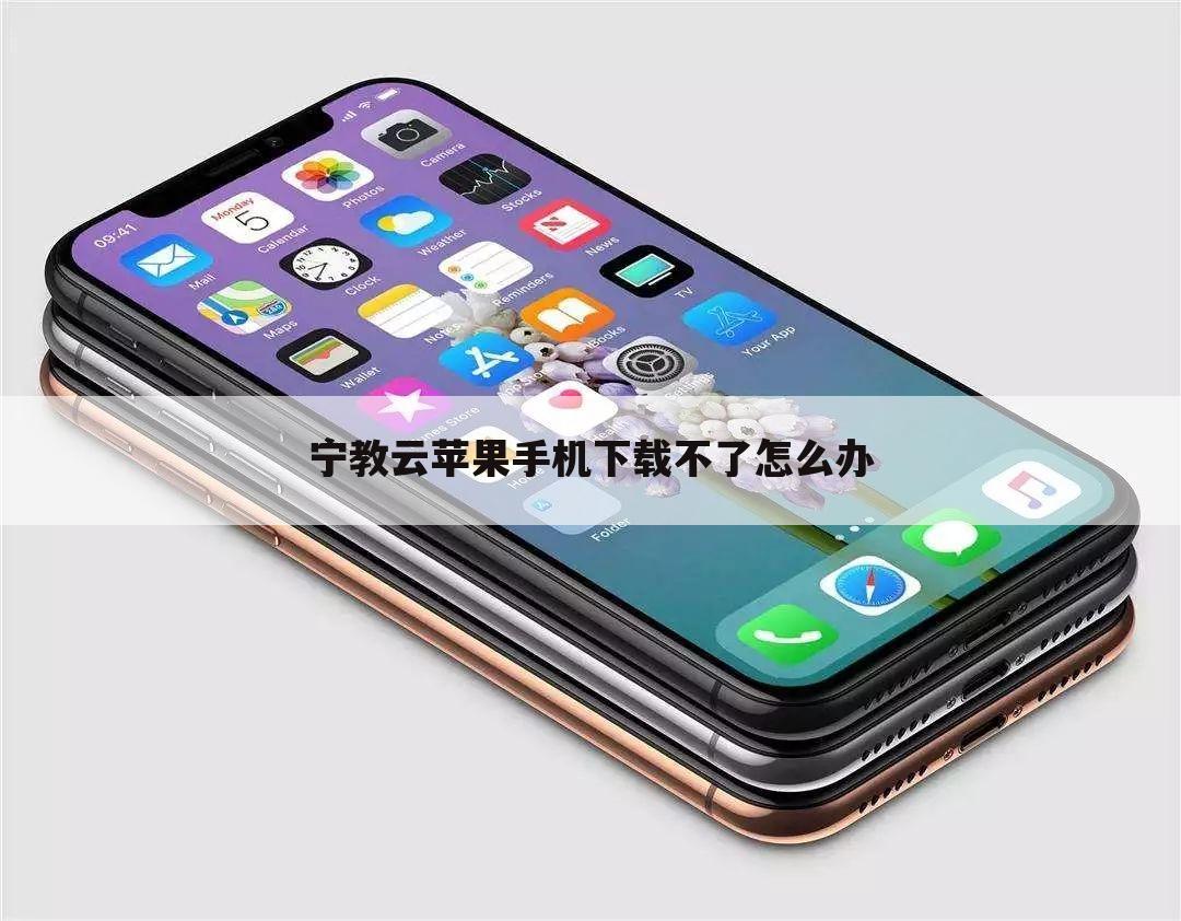 宁教云苹果手机下载不了怎么办