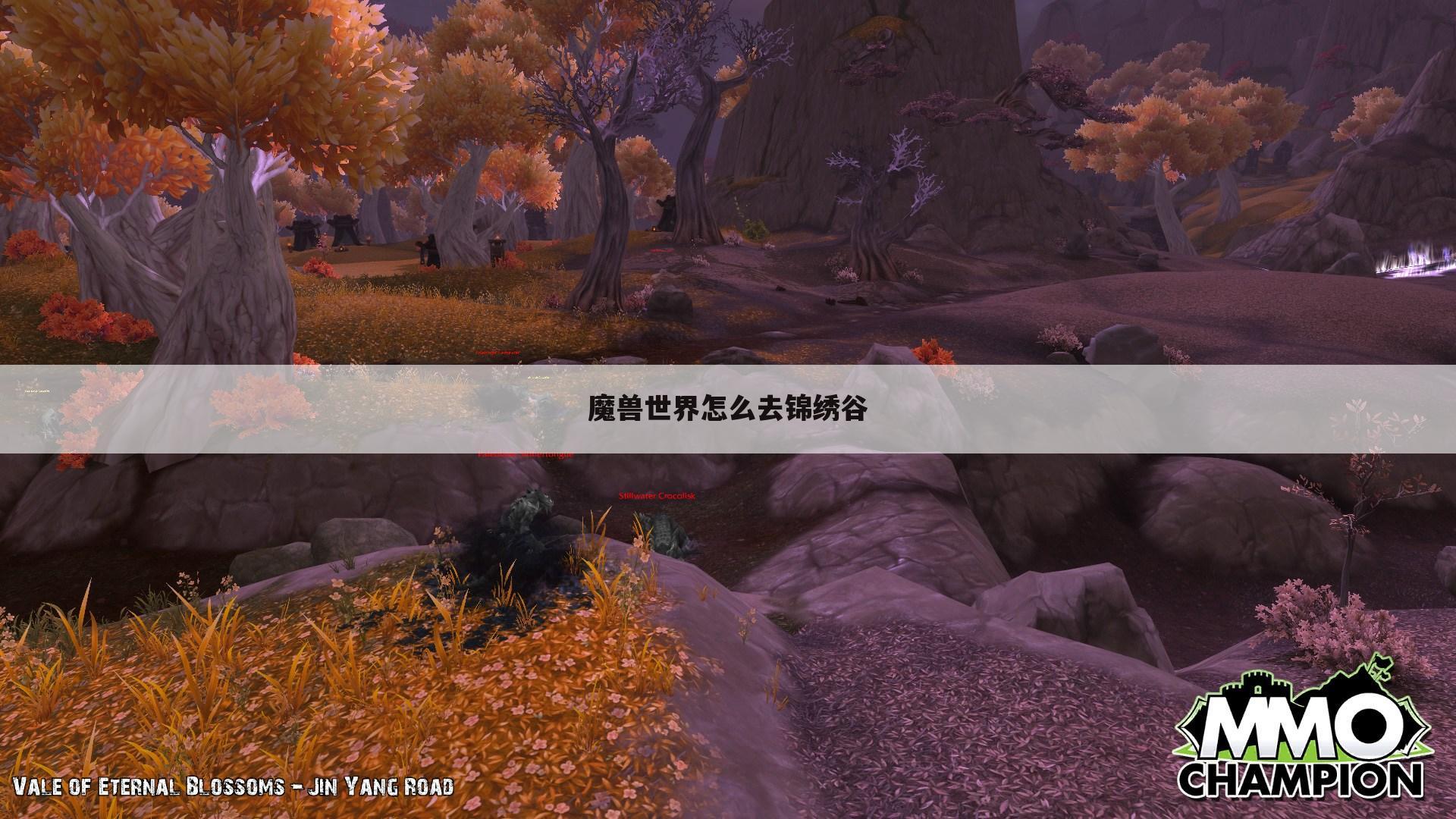 魔兽世界怎么去锦绣谷