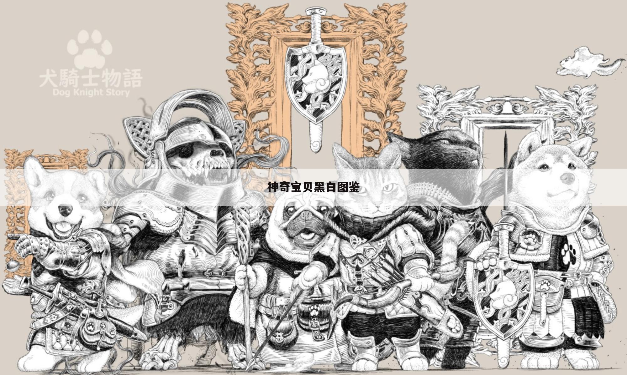 神奇宝贝黑白图鉴
