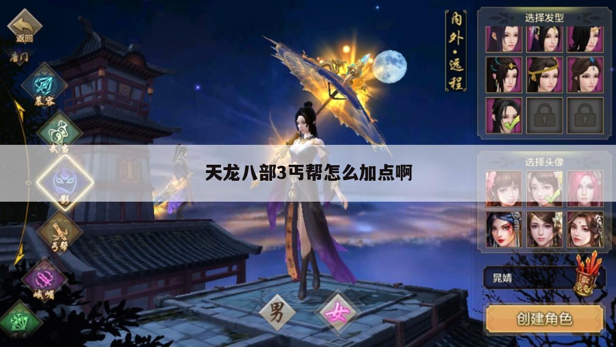 天龙八部3丐帮怎么加点啊