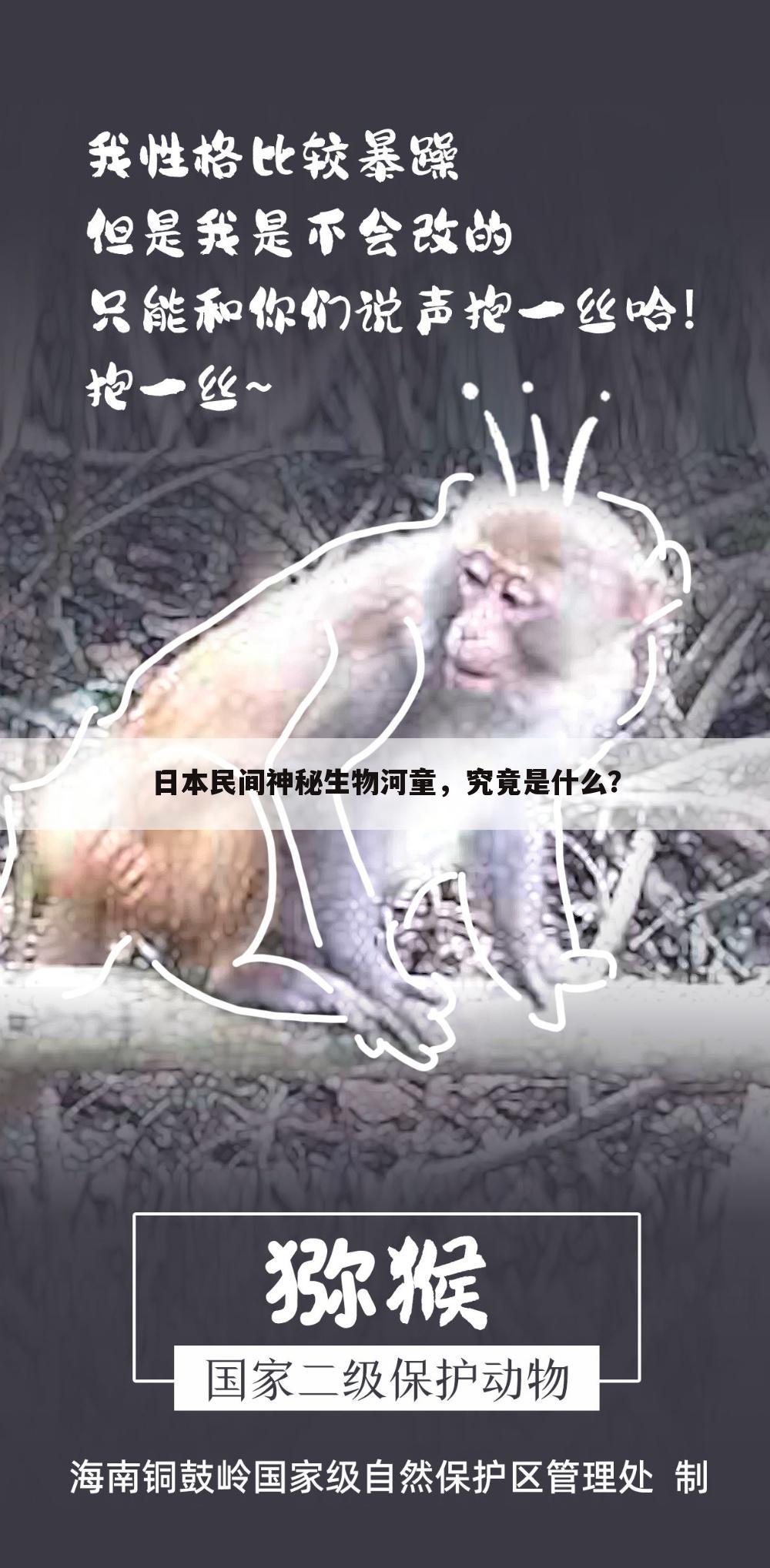 日本民间神秘生物河童,究竟是什么?
