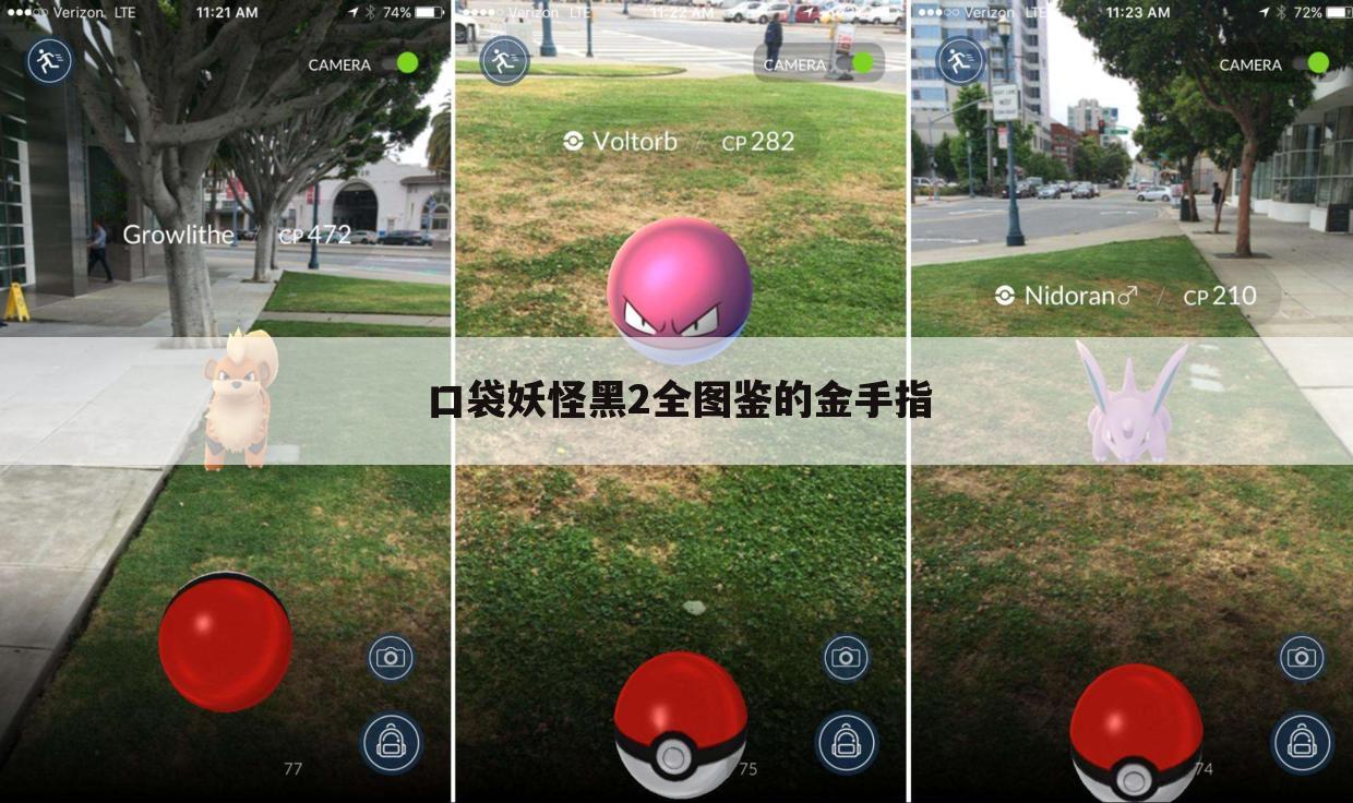 口袋妖怪黑2全图鉴的金手指
