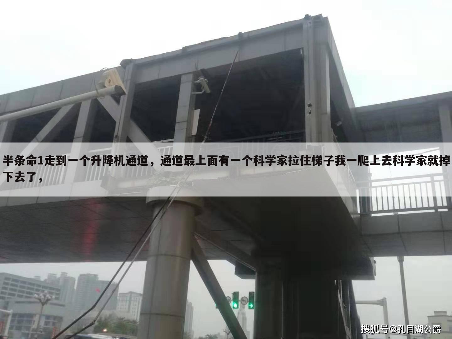 半条命1走到一个升降机通道，通道最上面有一个科学家拉住梯子我一爬上去科学家就掉下去了，
