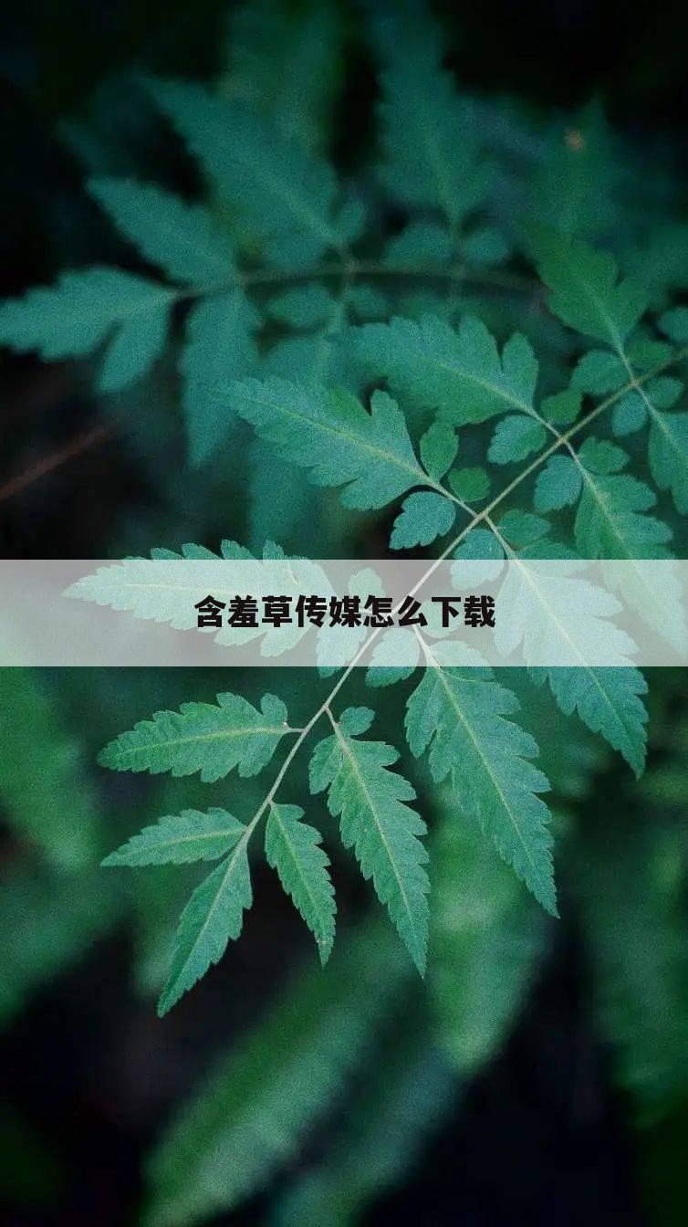 含羞草传媒怎么下载