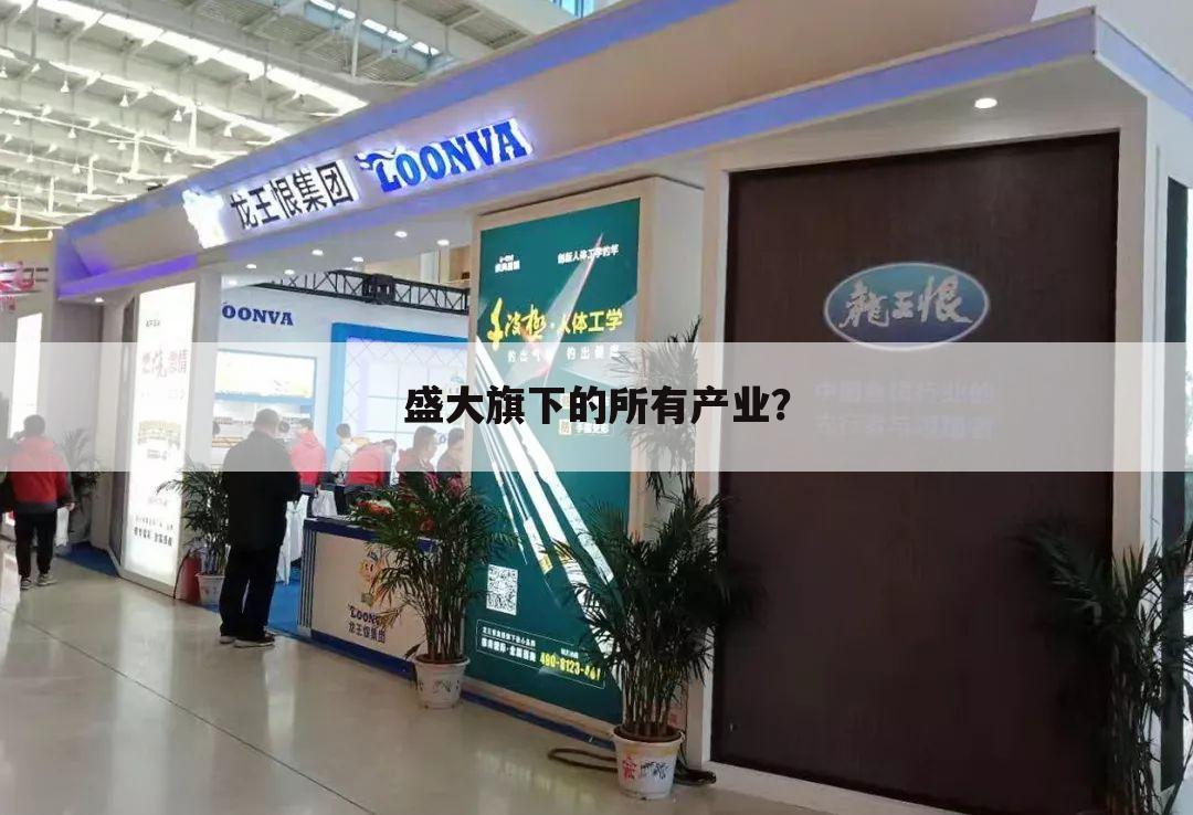 盛大旗下的所有产业?
