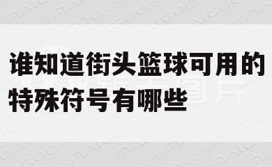 谁知道街头篮球可用的特殊符号有哪些