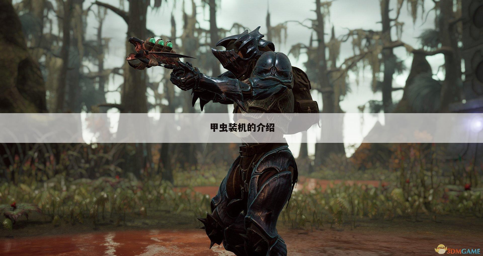 甲虫装机的介绍