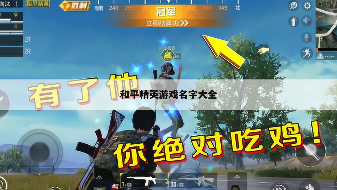 和平精英游戏名字大全