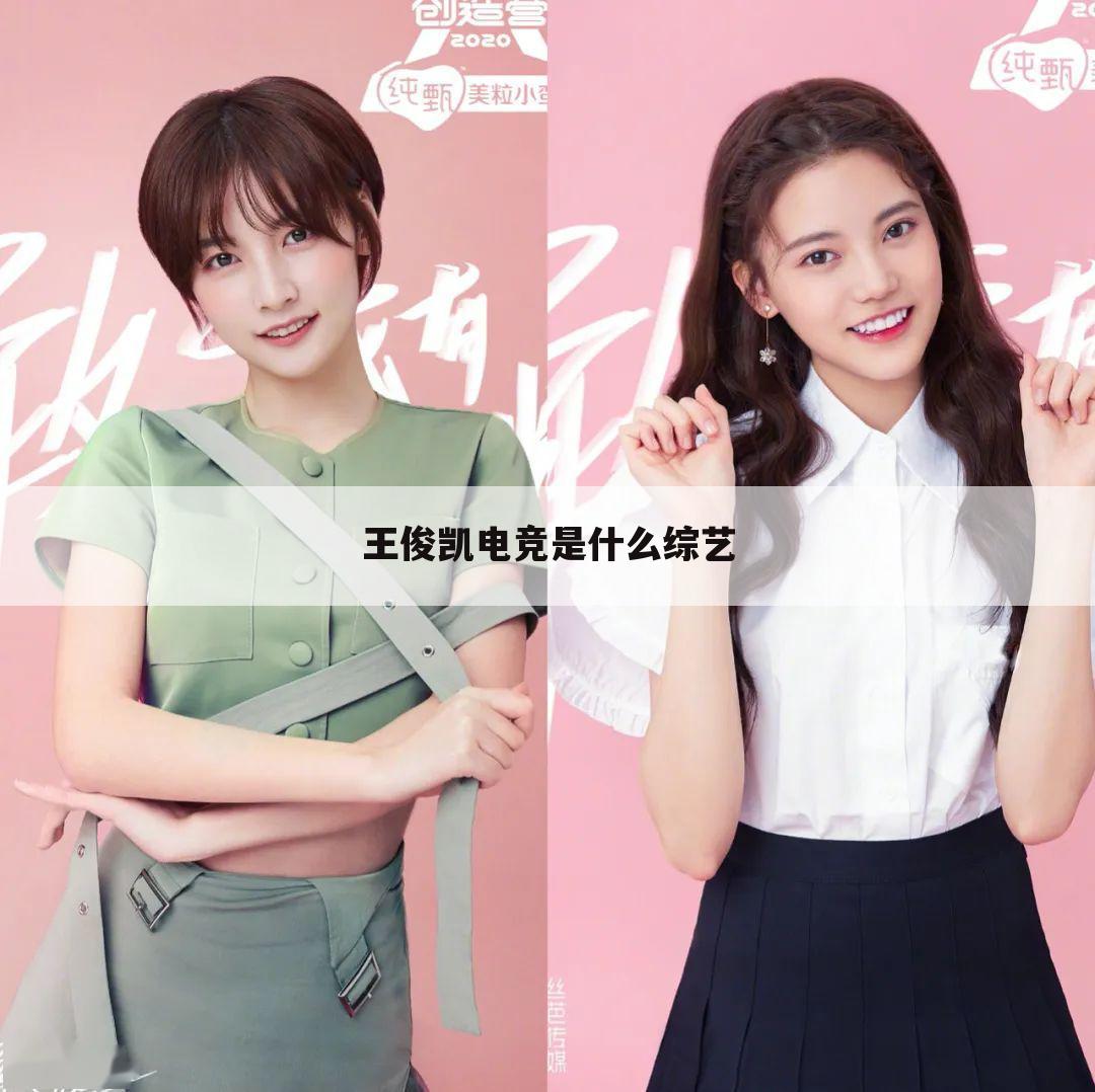 王俊凯电竞是什么综艺