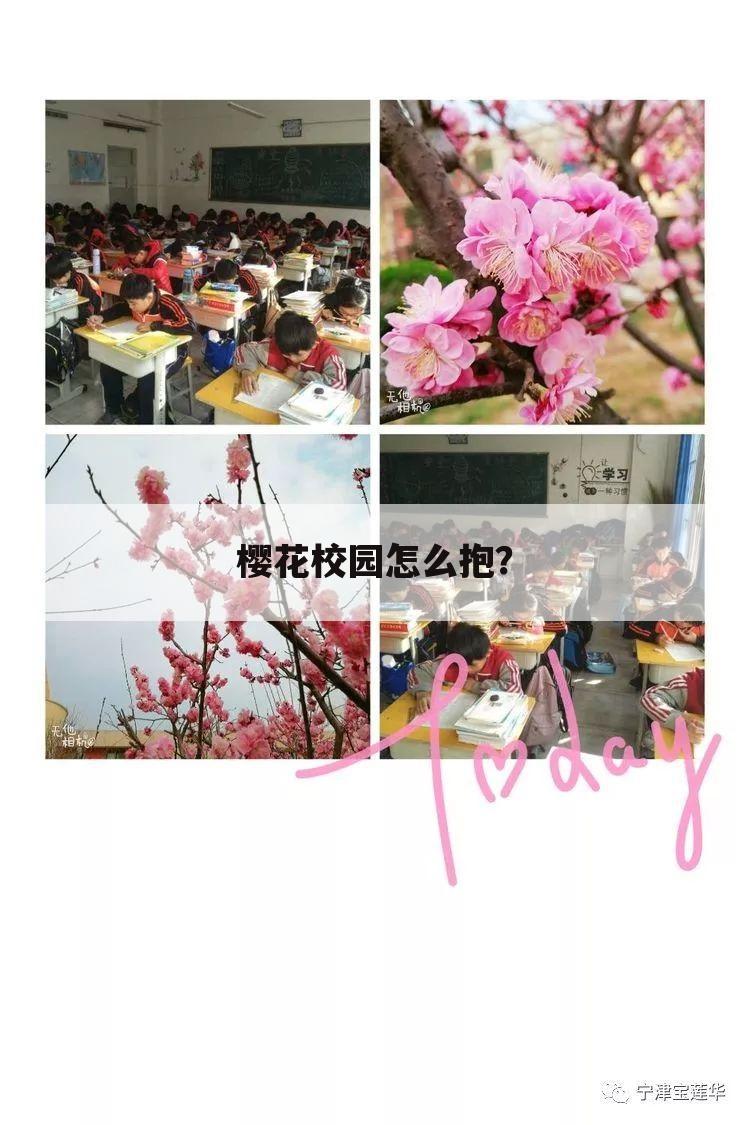 樱花校园怎么抱?
