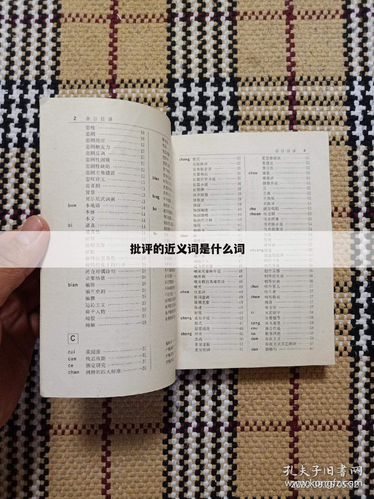 批评的近义词是什么词