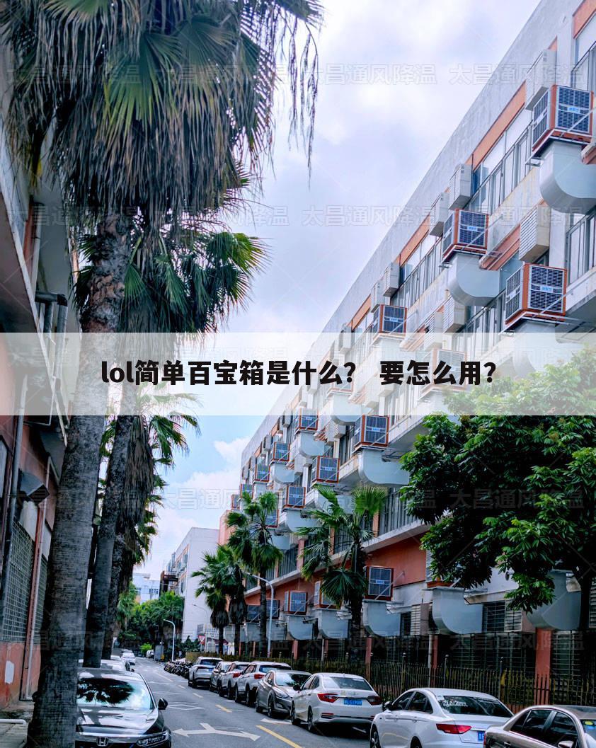 lol简单百宝箱是什么? 要怎么用?
