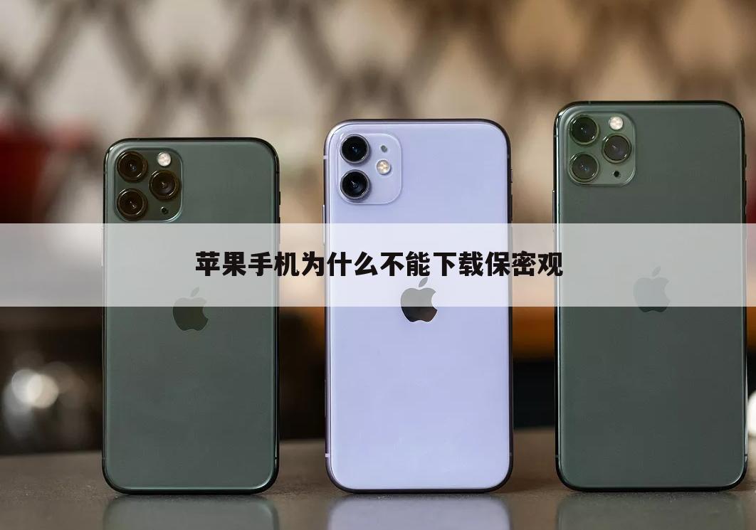 苹果手机为什么不能下载保密观