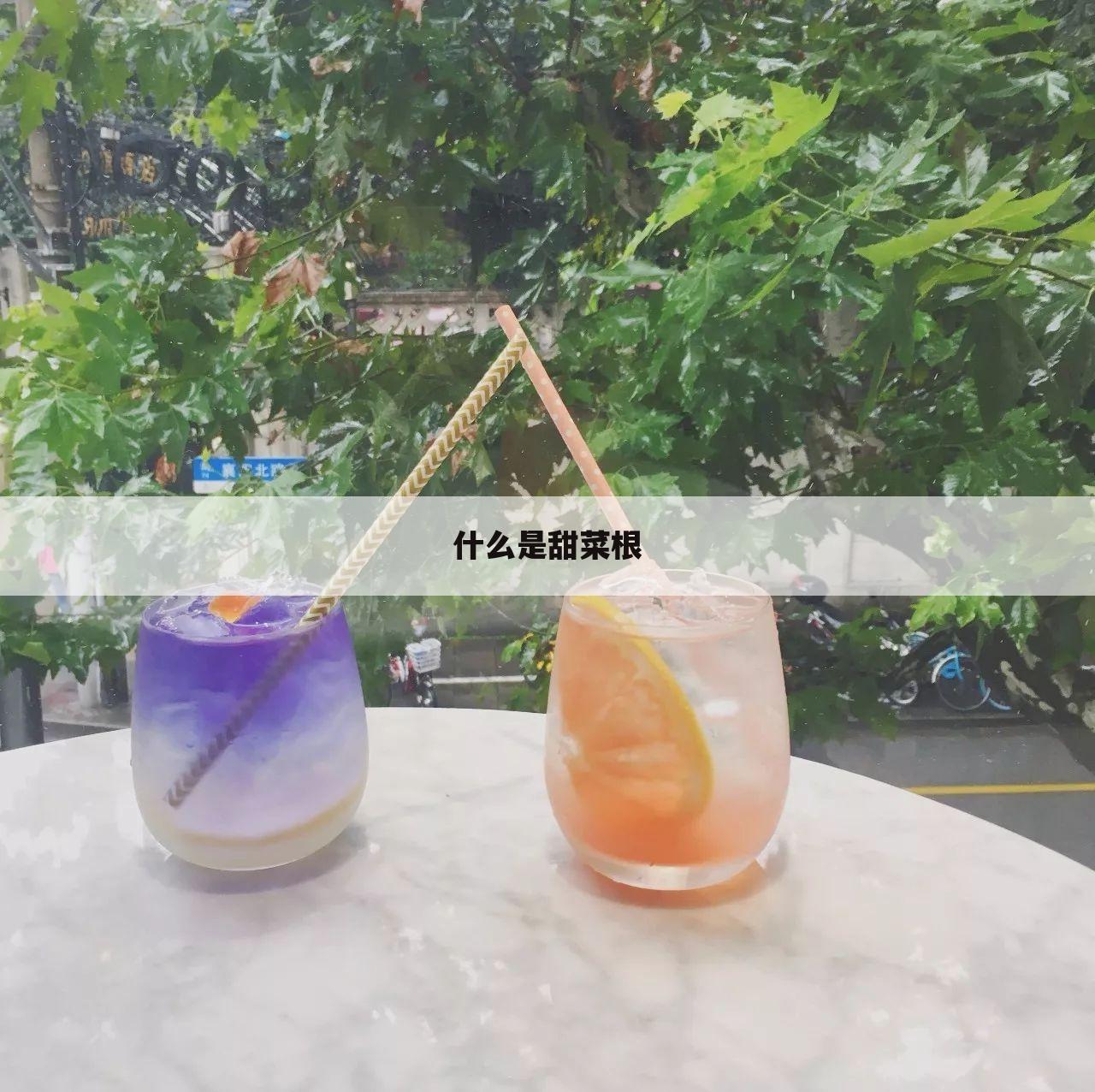 什么是甜菜根