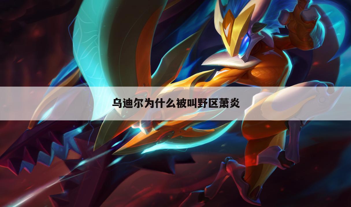乌迪尔为什么被叫野区萧炎