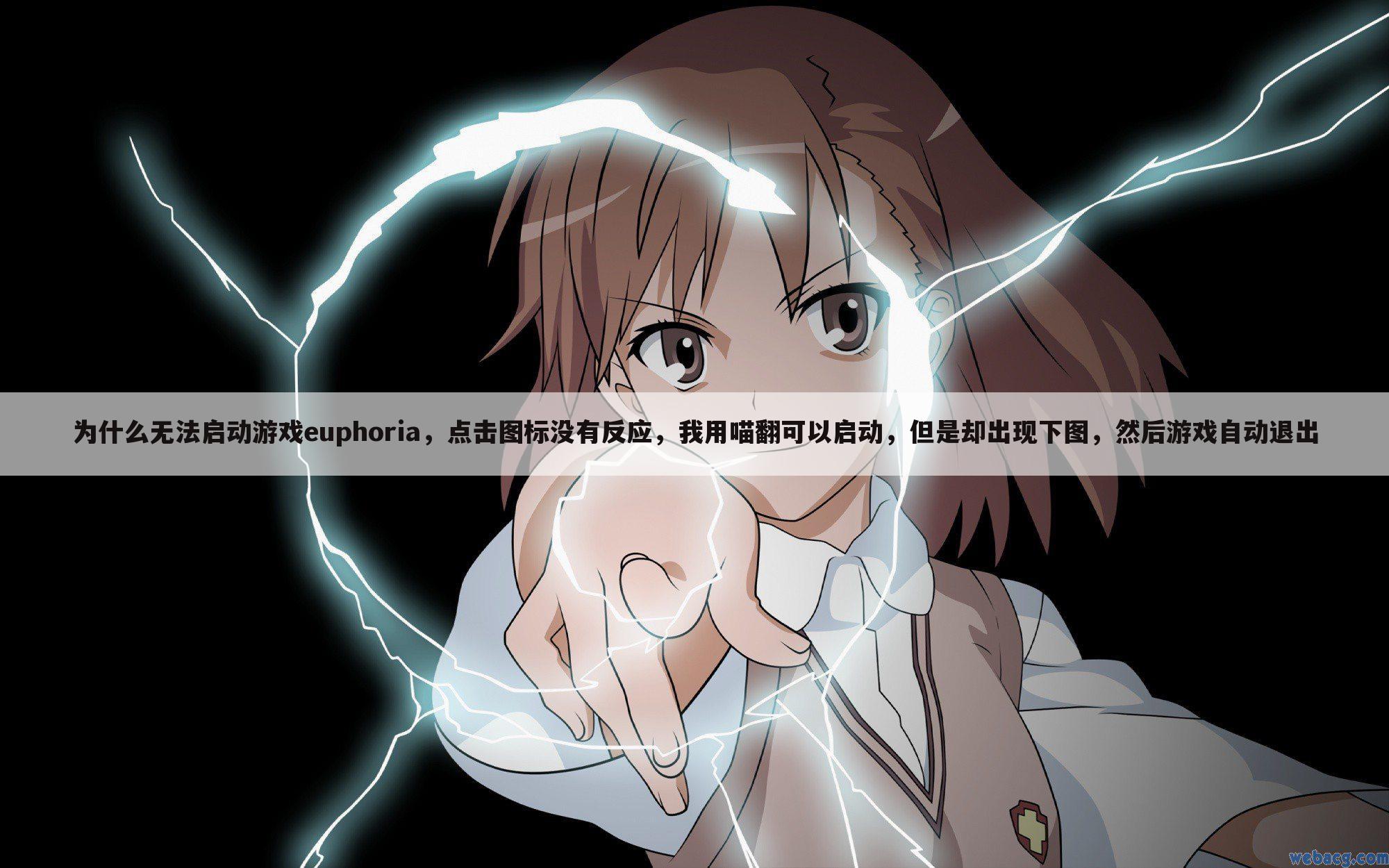 为什么无法启动游戏euphoria，点击图标没有反应，我用喵翻可以启动，但是却出现下图，然后游戏自动退出