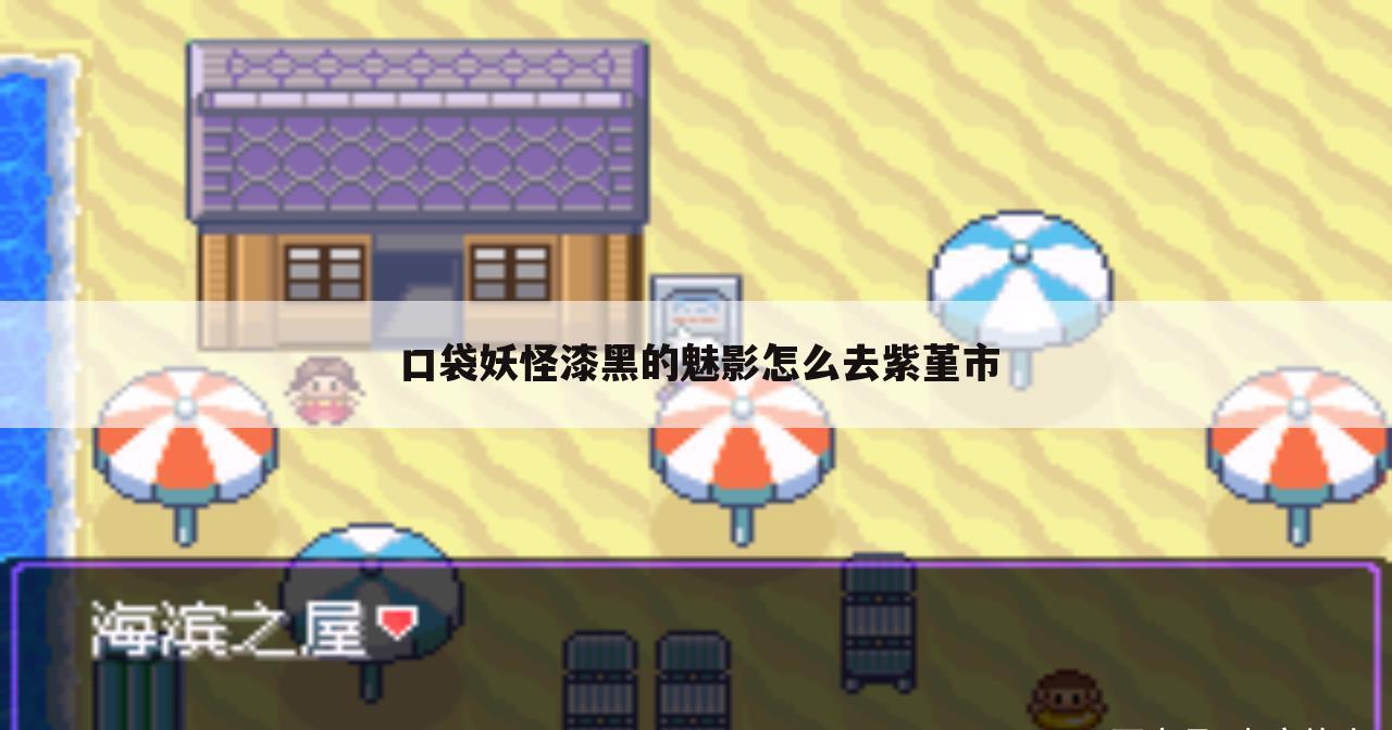 口袋妖怪漆黑的魅影怎么去紫堇市