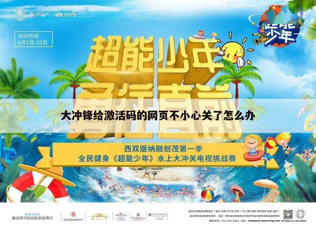 大冲锋给激活码的网页不小心关了怎么办