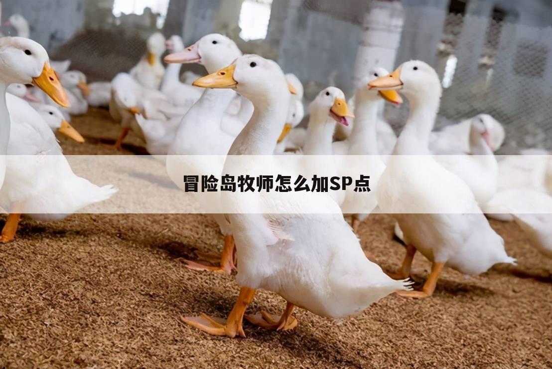 冒险岛牧师怎么加SP点