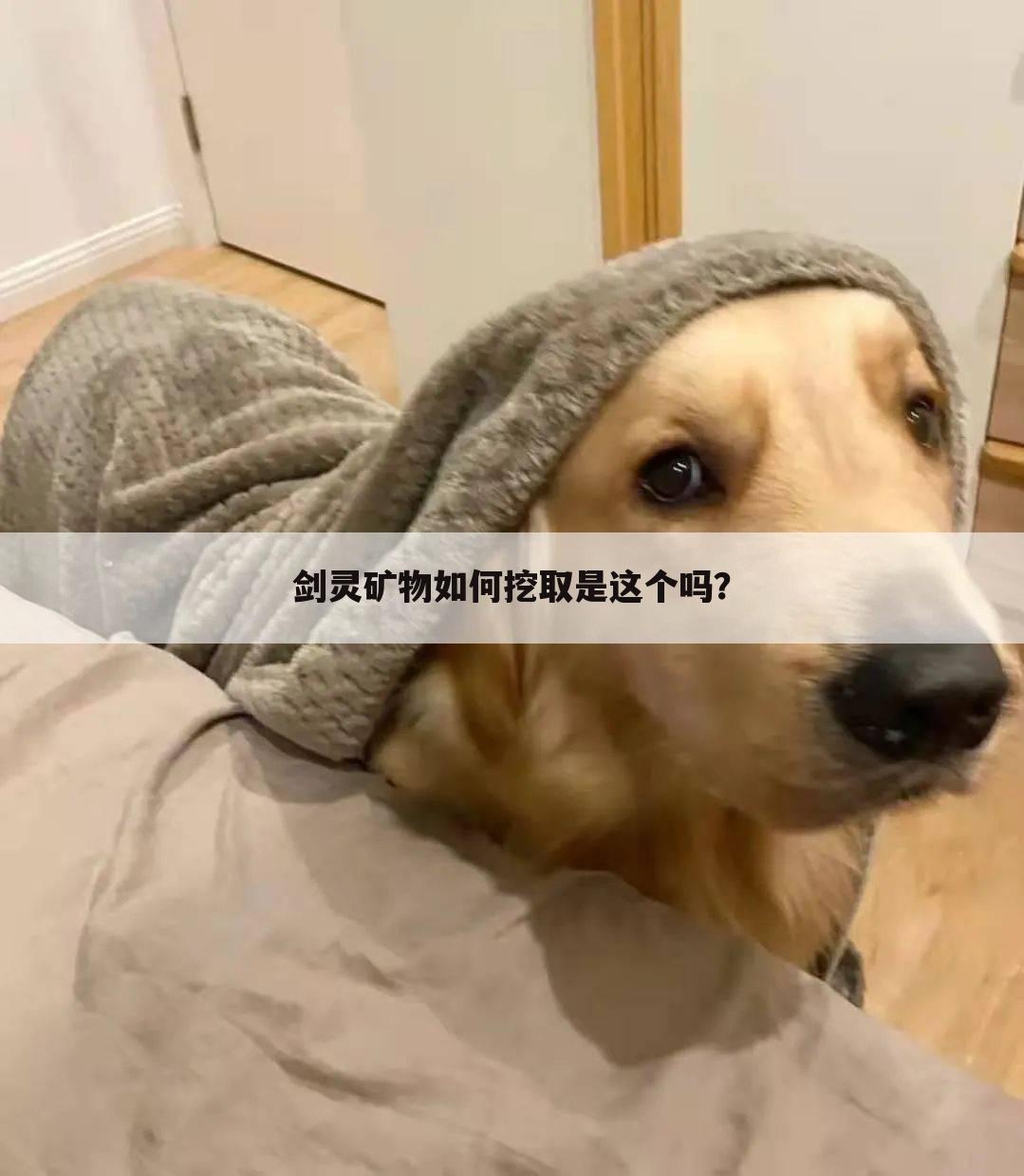 剑灵矿物如何挖取是这个吗？