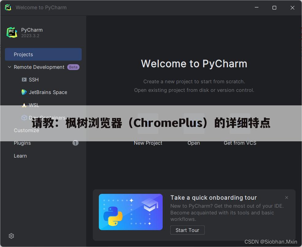 请教:枫树浏览器(ChromePlus)的详细特点