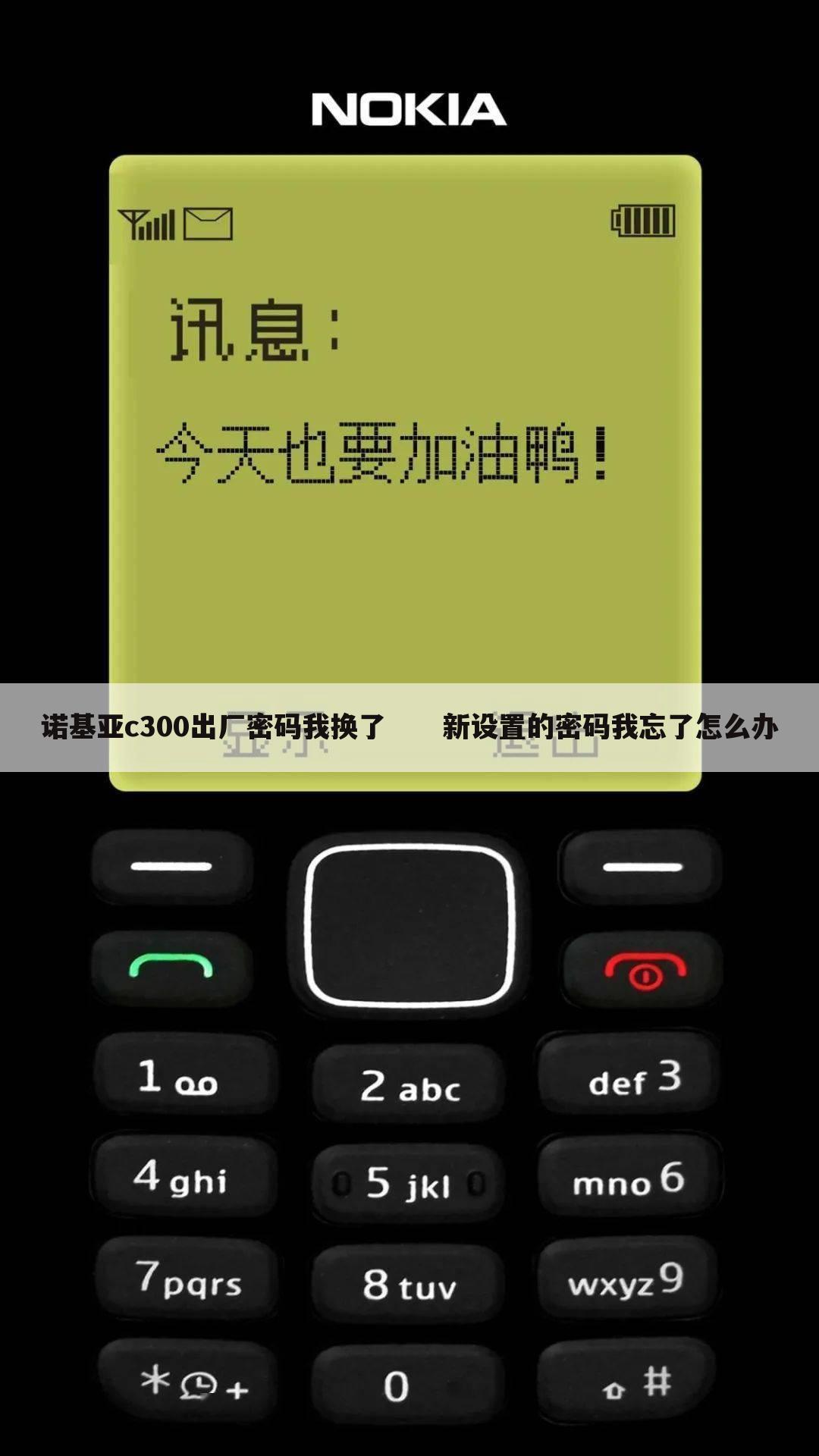 诺基亚c300出厂密码我换了 新设置的密码我忘了怎么办