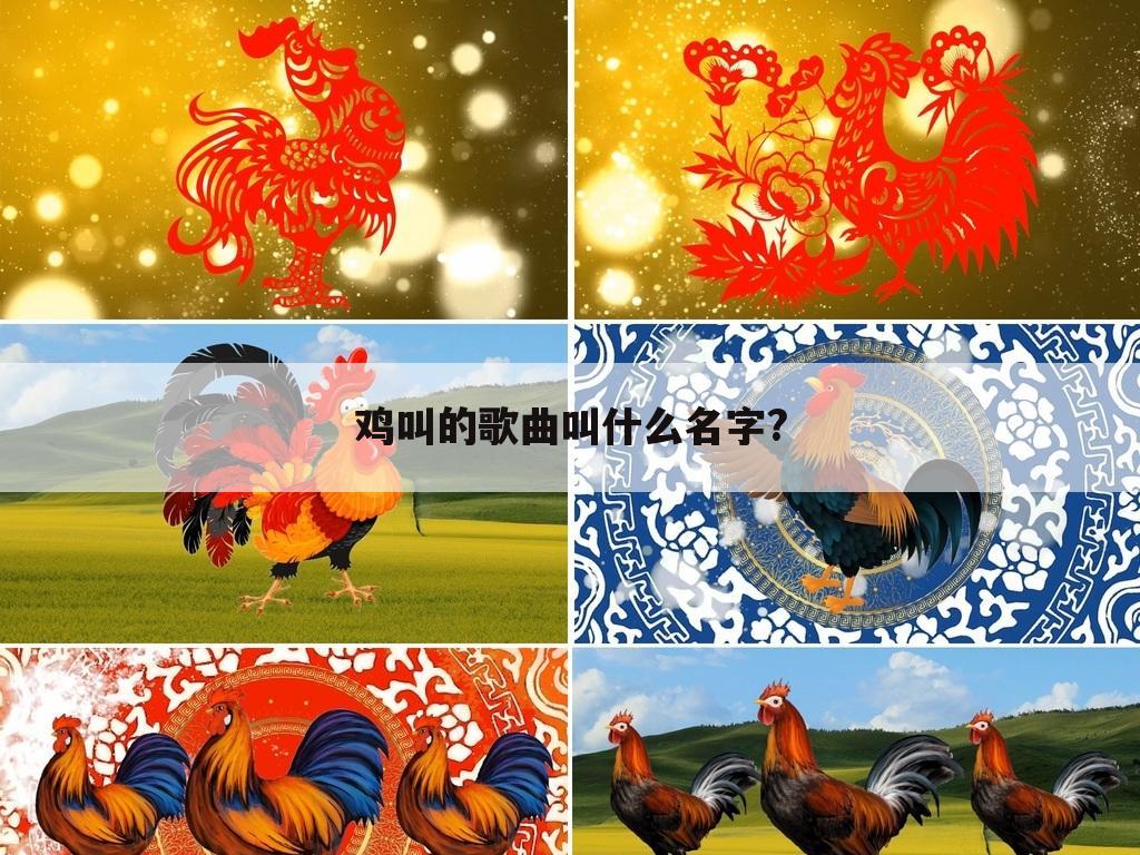 鸡叫的歌曲叫什么名字?